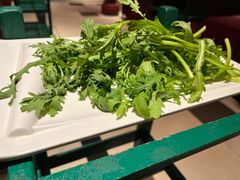 茼蒿菜-九牧鱻·渝老鬼重庆火锅(人民路店)