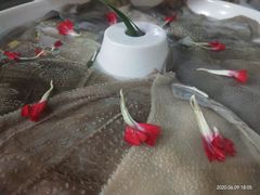 精品鲜毛肚-香佰里鲜货火锅(佳乐金街店)