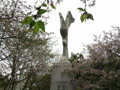 -武汉大学-樱园