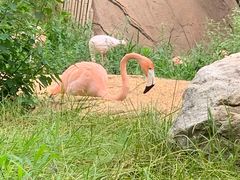 -沈阳森林动物园