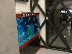 -肆月河豚·新淮扬(金融街店)
