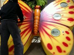 -上海昆虫博物馆