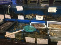 水产区-洁神饭庄·海鲜·青岛菜·30年老字号(五四广场店)