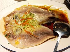 清蒸红斑鱼-顺峰海鲜酒楼(省府店)