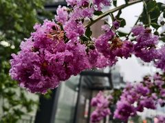 -杭州西湖柳莺里酒店·闻莺厅