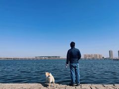 -天津金海湖