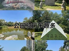 -木塔寺遗址生态公园