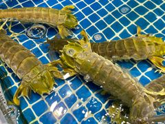 -三亚火车头万人海鲜广场