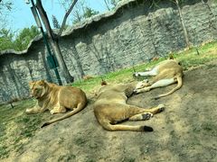 -北京野生动物园