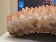 -天津自然博物馆