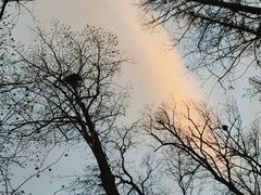 -洋湖国家湿地公园