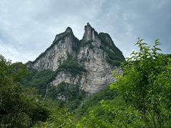 -鹿院坪生态旅游景区