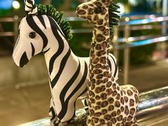 -清迈夜间动物园