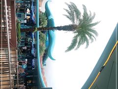 -珠海长隆海洋王国