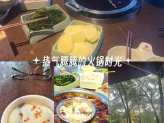 -巴倒烫陆派火锅山庄(南山总店)