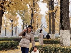-百林公园-两江幸福广场