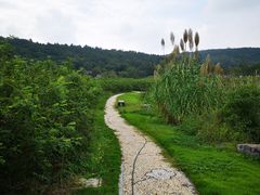 -龙寺生态园