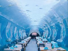 -涛·海底餐厅·美人鱼·自助餐·海底隧道(三亚海棠湾洲际度假酒店)