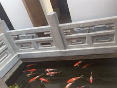 -鲤院·新中式美学·庭院餐厅(夫子庙店)