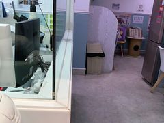 -纳吉亚猫专科动物医院·北北分院