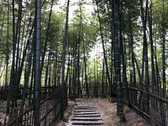 -宁波浙东大竹海景区