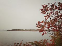 -天津东丽湖风景区