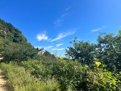 -北京西山国家森林公园