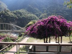 -太鲁阁公园