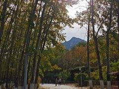 -北京中信金陵酒店