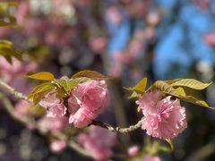 -苏州河梦清园环保主题公园