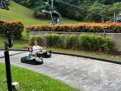 -圣淘沙天际线斜坡滑车