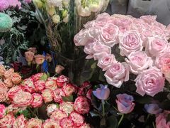 -循礼门鲜花花市(武汉循礼门店)