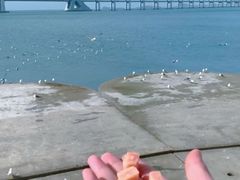 -星海广场