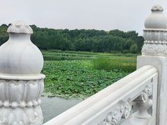 -南海子公园