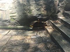 -白沙古井