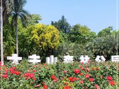 -番禺大夫山森林公园
