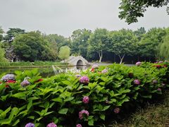 -泰州凤城河风景区-泰山公园