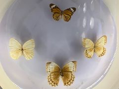 -下渚湖国家湿地公园科普馆