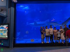 -烟台海昌鲸鲨海洋公园