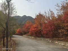 -北京鹫峰国家森林公园