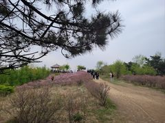 -高尔山公园