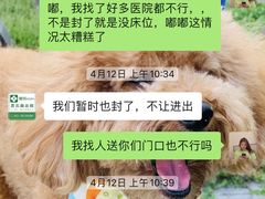 -爱侣宠医·鹦鹉专科·小型哺乳类·异宠专科(灵石路店)