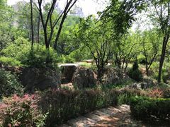 -前关湿地公园
