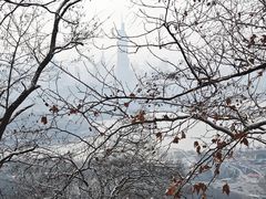 -紫金山天文台