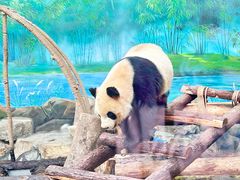 -杭州动物园