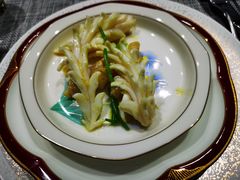 油泡板筋鱿-潮汕味道·煮海餐厅(金麟大厦店)