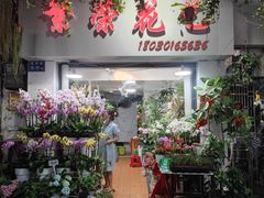 -溪岸路花鸟市场