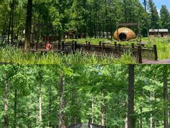 -黄海国家森林公园