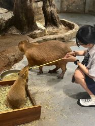 -Zoolung Zoolung动物主题公园(海信广场店)