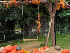 -HERRE·FARM 赫尔露营农场·团建聚会包场